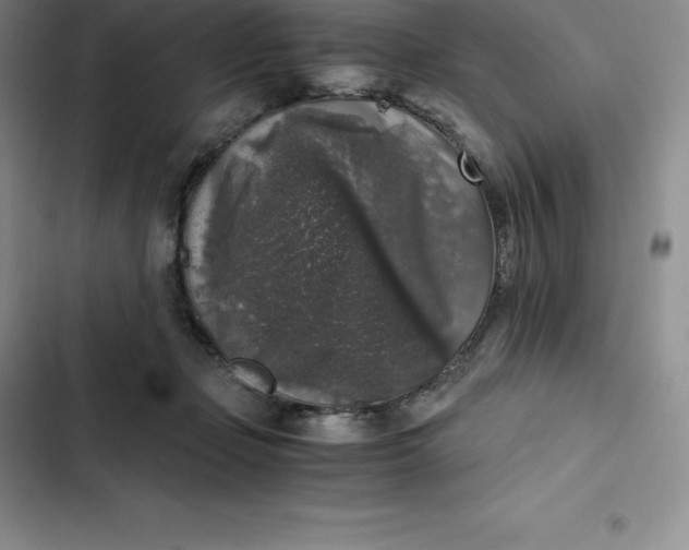 X0000102520365200808221847