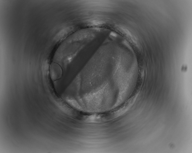 X0000102520366200808221847