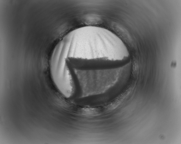 X0000102520367200808221847