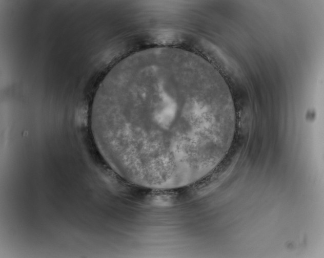 X0000102520368200808221847