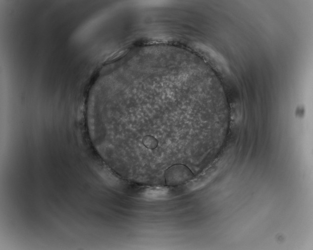 X0000102520369200808221847