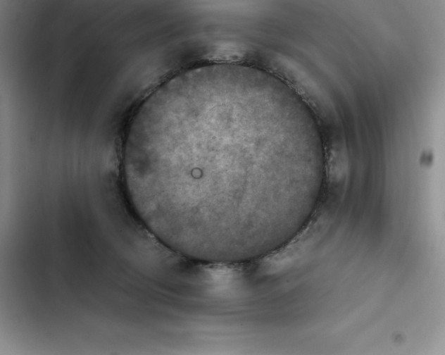 X0000102520370200808221847