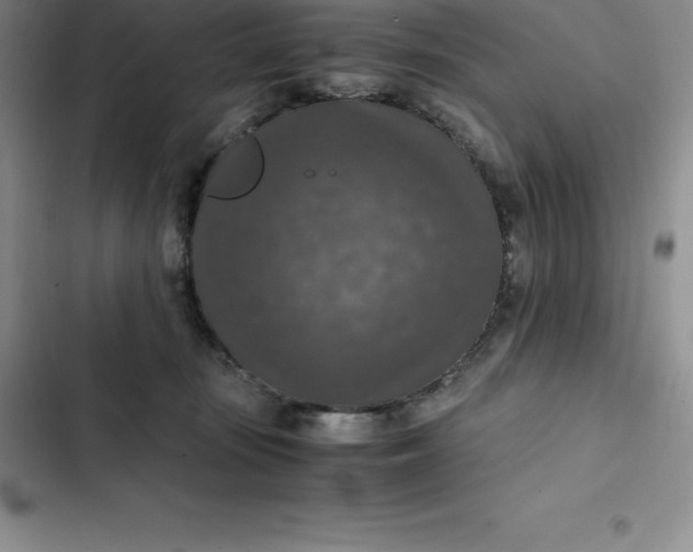 X0000102520371200808221847