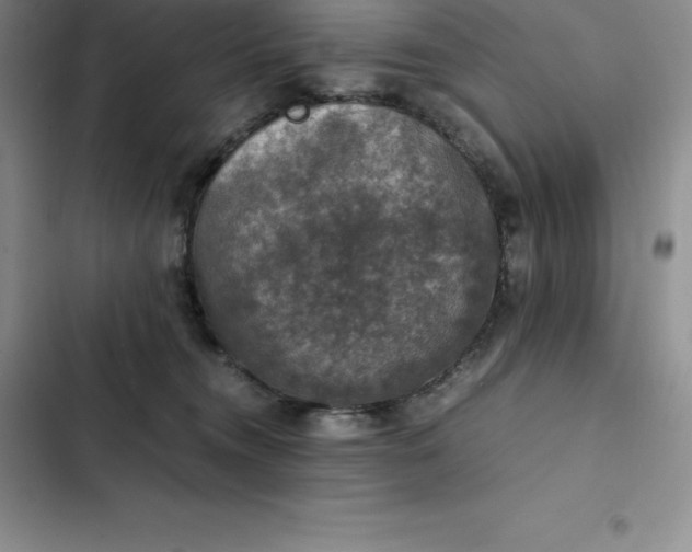 X0000102520372200808221847