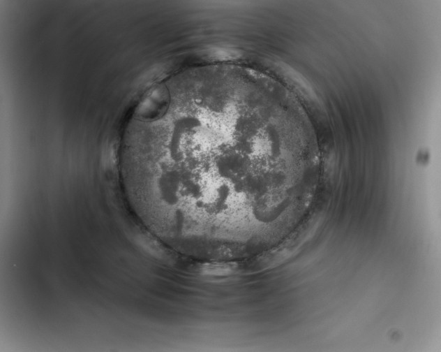 X0000102520373200808221847