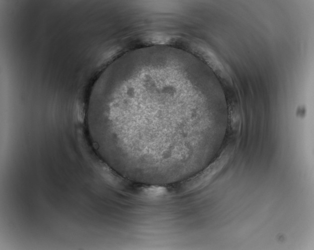 X0000102520374200808221847