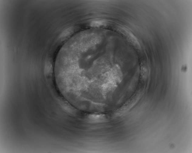 X0000102520375200808221847