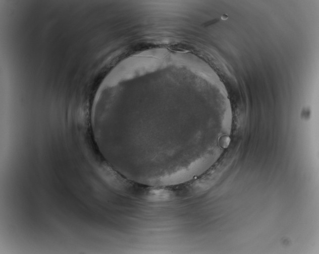 X0000102520376200808221847