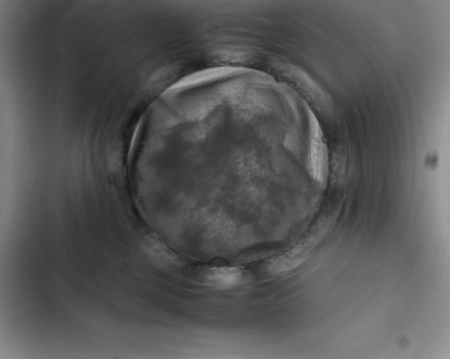 X0000102520377200808221847