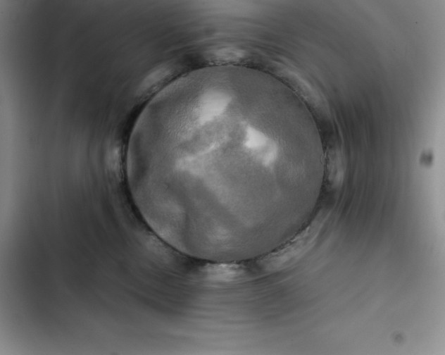 X0000102520378200808221847