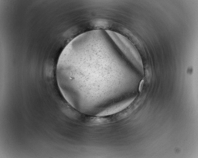 X0000102520379200808221847