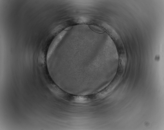 X0000102520380200808221847