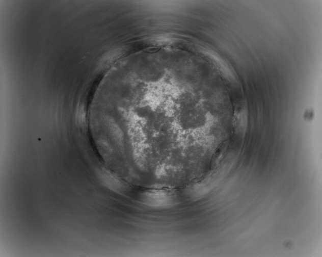 X0000102520381200808221847