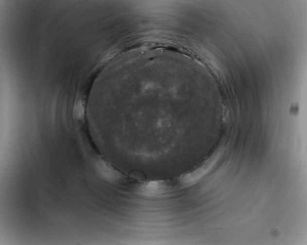 X0000102520382200808221847