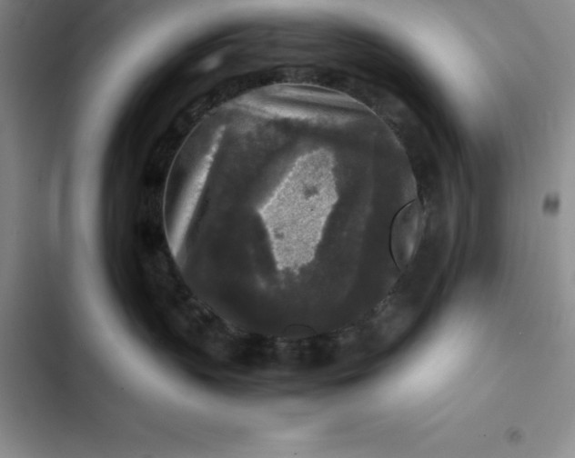 X0000102520383200808221847