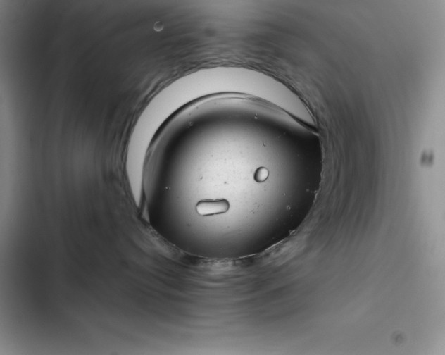 X0000102520384200808221847