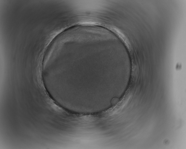 X0000102520385200808221846