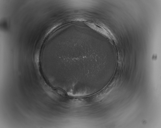 X0000102520386200808221846