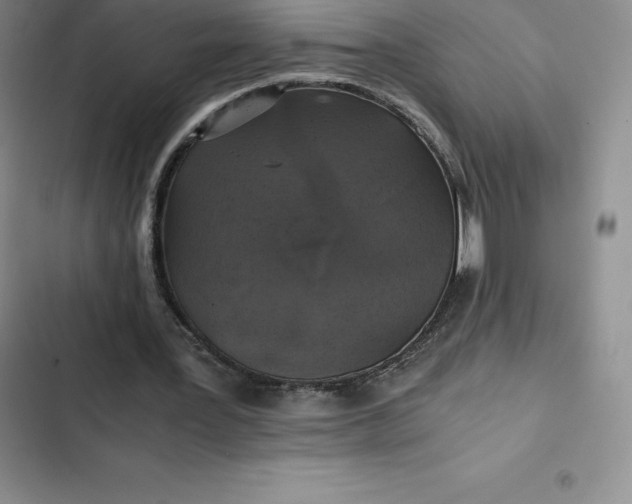 X0000102520387200808221846