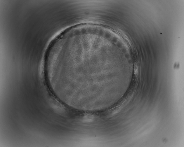 X0000102520388200808221846