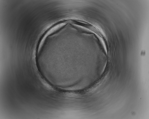 X0000102520389200808221846