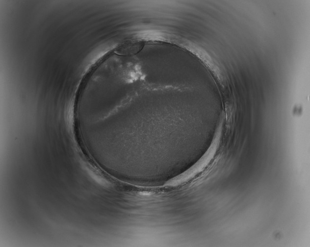 X0000102520390200808221846