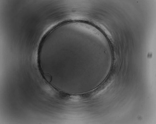 X0000102520391200808221846