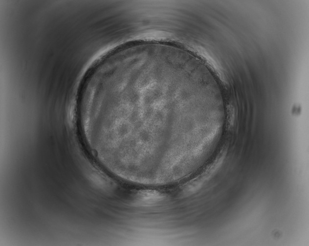 X0000102520392200808221846