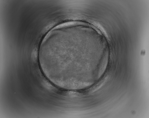 X0000102520393200808221846