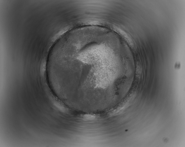 X0000102520394200808221846