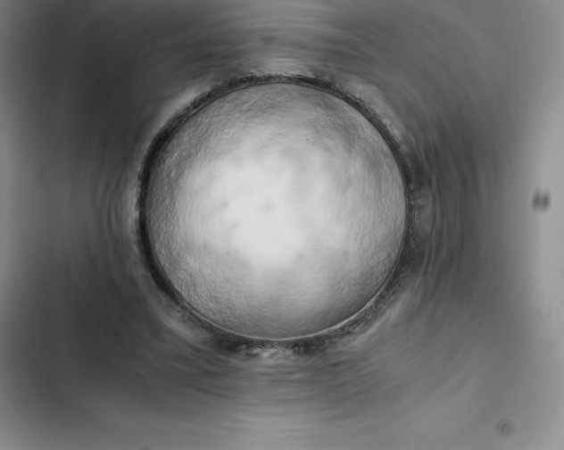 X0000102520395200808221846