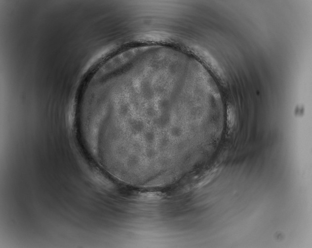 X0000102520396200808221846