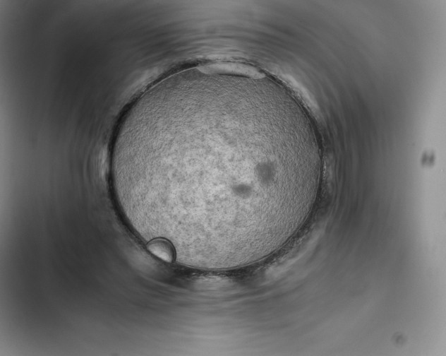 X0000102520397200808221846