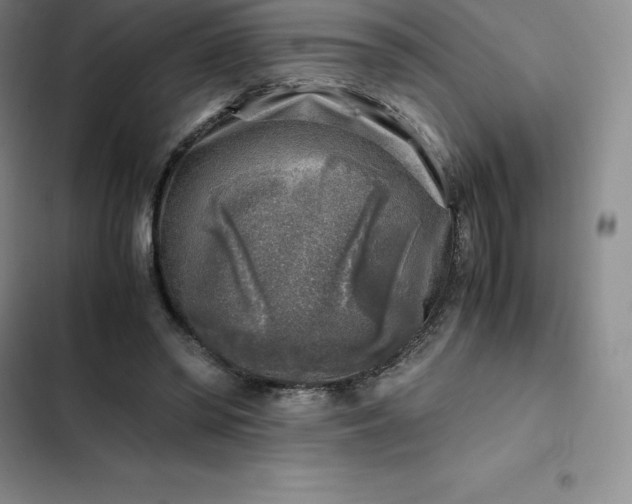 X0000102520398200808221846