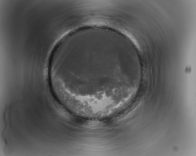 X0000102520399200808221846