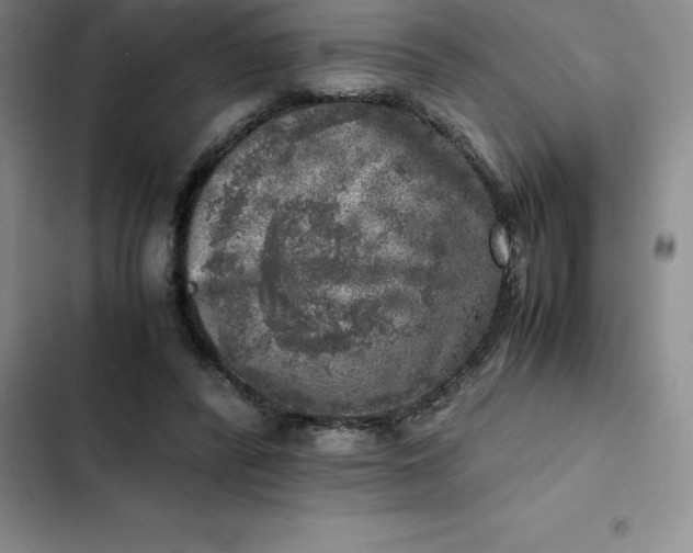 X0000102520400200808221846