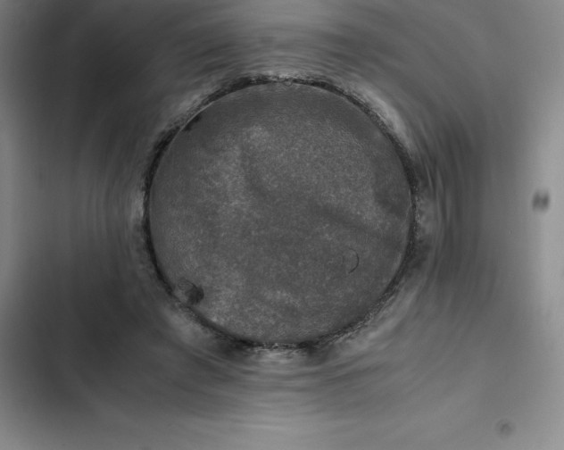 X0000102520401200808221846