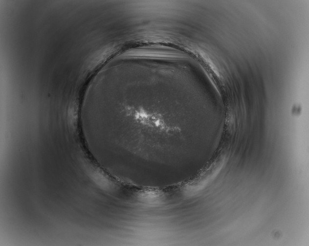 X0000102520402200808221846