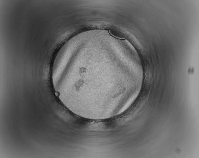 X0000102520403200808221846