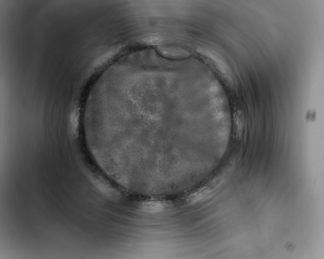 X0000102520404200808221846