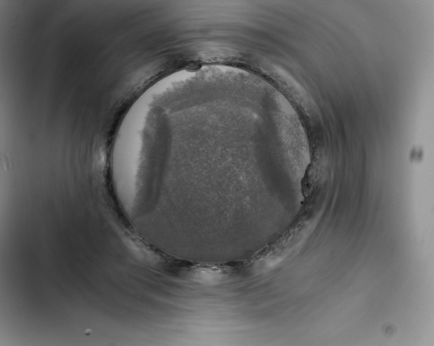 X0000102520405200808221846