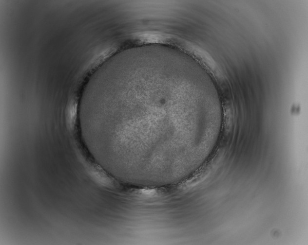 X0000102520406200808221846