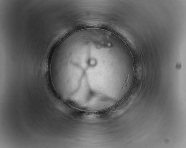 X0000102520407200808221846