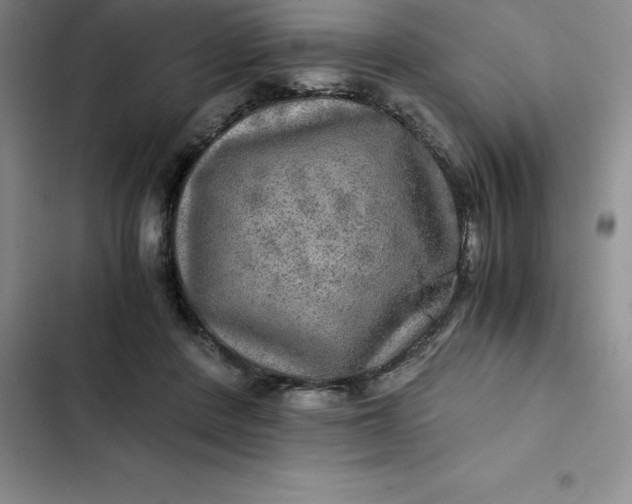 X0000102520408200808221846