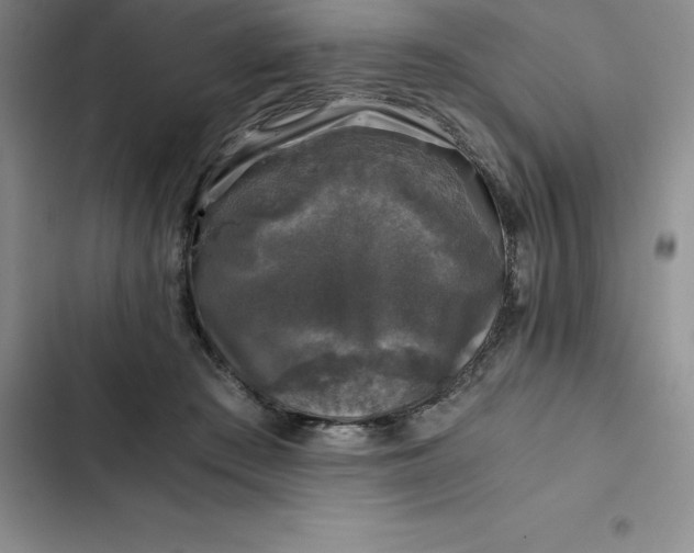 X0000102520409200808221846