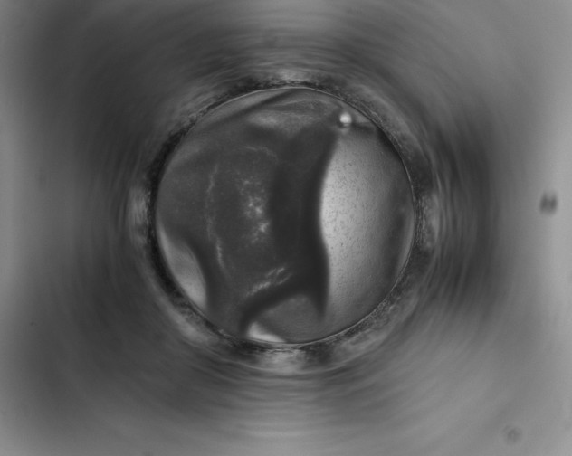 X0000102520410200808221846