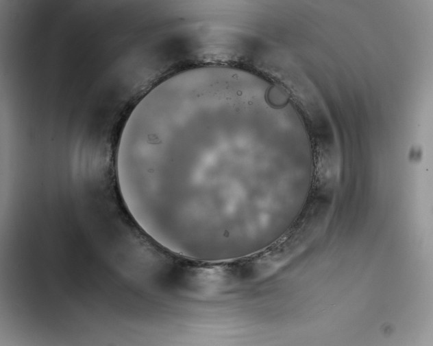 X0000102520411200808221846