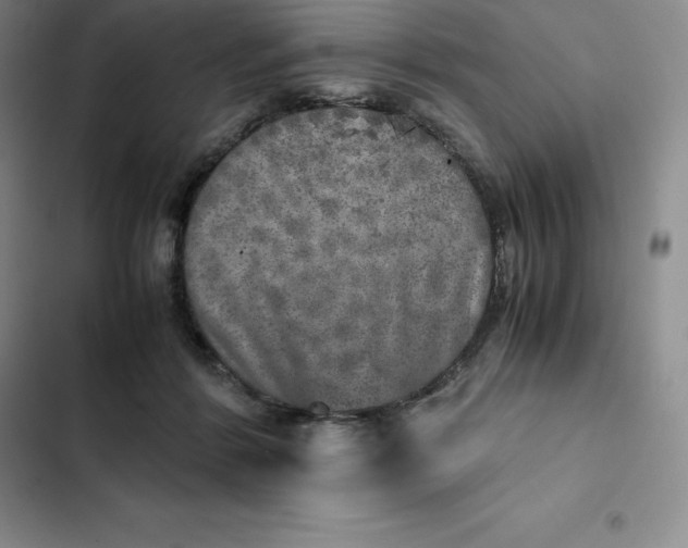 X0000102520412200808221846