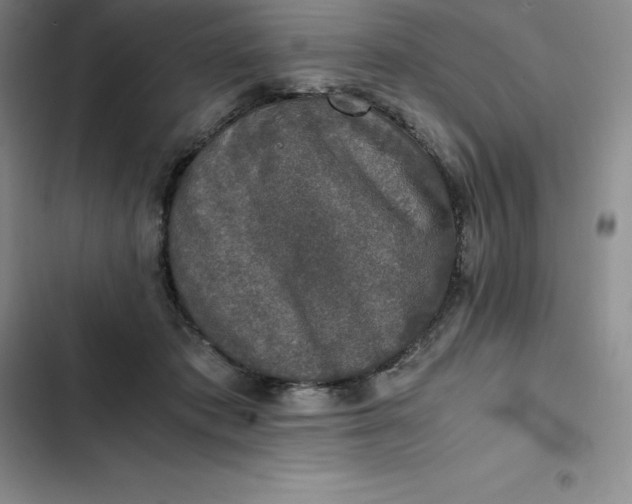 X0000102520413200808221846