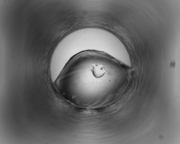 X0000102520415200808221846